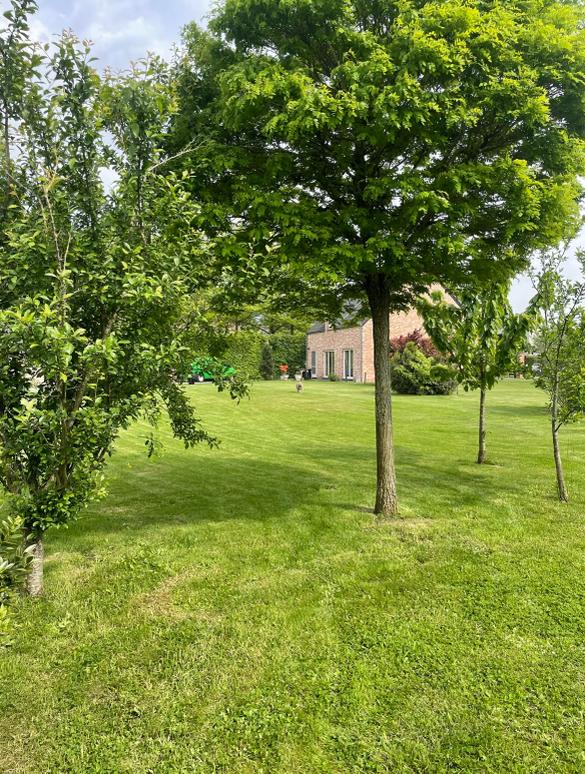 woning Boechout