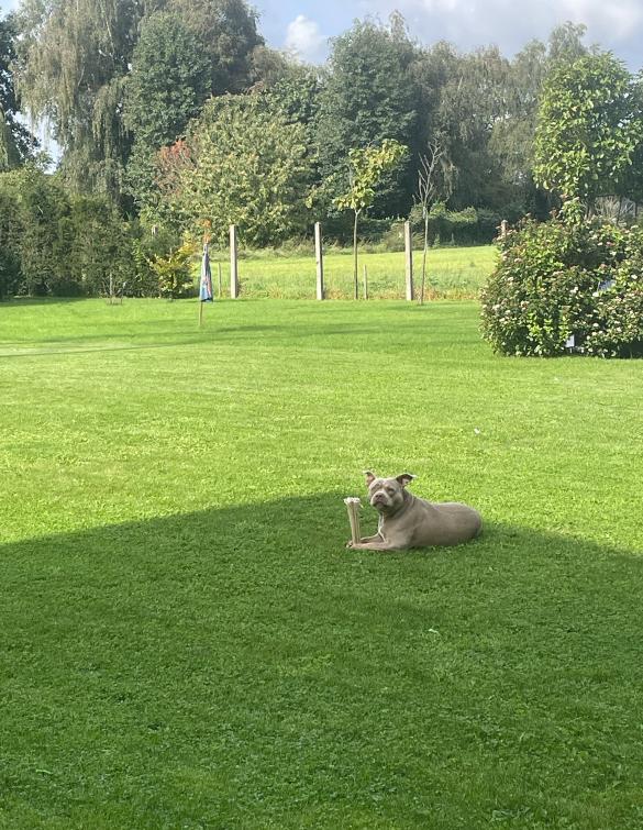 woning Boechout